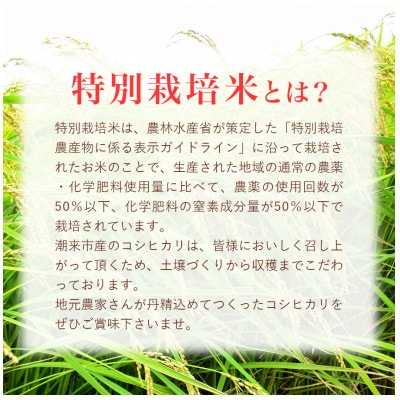 潮来市産【令和7年産】特別栽培米コシヒカリ　玄米10kg