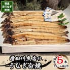 増田川魚店うなぎ白焼【特上5本】