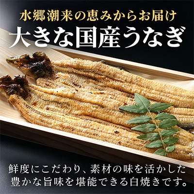 増田川魚店のうなぎ白焼【大2本】