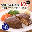 茨城県産　常陸牛(ひたち)&美明豚(びめい)特製手づくりハンバーグ(約200g×10個)セット