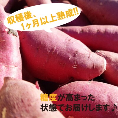 【芋屋久兵衛】が自社農園で育てた さつまいも 紅はるか S・Mサイズ混合 5kg箱入り