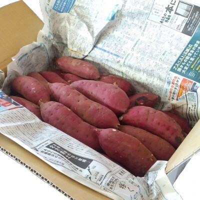 【芋屋久兵衛】が自社農園で育てた さつまいも 紅はるか S・Mサイズ混合 5kg箱入り