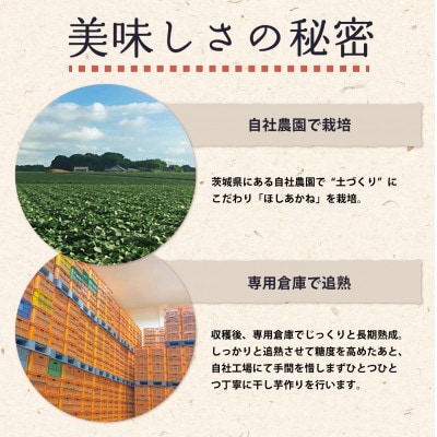 【訳あり】芋屋久兵衛のほしあかね 切甲(切り落とし)&シロタ(平干し) 各500g 合計1kgセット