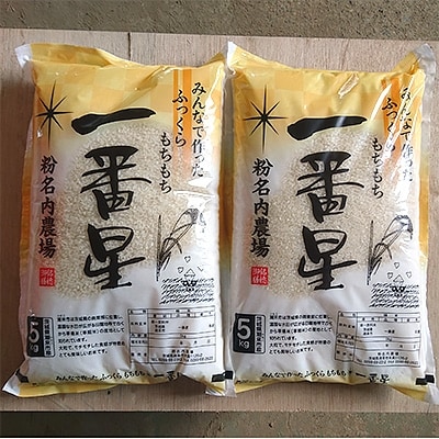 【令和6年産】潮来産一番星精米10kg(5kg×2袋)