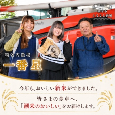 【令和8年産 新米】潮来産一番星精米10kg(5kg×2袋)