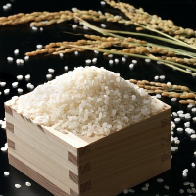 【令和8年産 新米】潮来産一番星精米10kg(5kg×2袋)