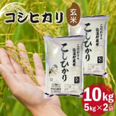 【令和6年産】潮来産コシヒカリ玄米10kg(5kg×2袋)