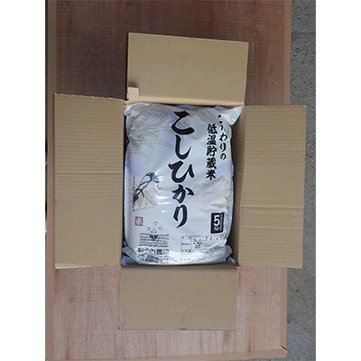 【令和6年産】潮来産コシヒカリ玄米10kg(5kg×2袋)