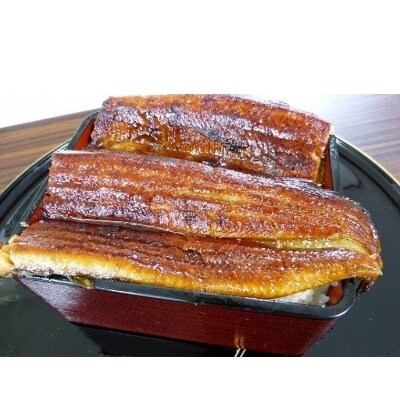 大きな国内産新仔うなぎ蒲焼2尾(1尾200~220グラム)