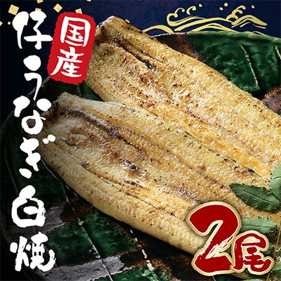 国内産うなぎ白焼(酒蒸)100～120g　2尾　合計200グラム以上　訳あり(サイズ不揃い)