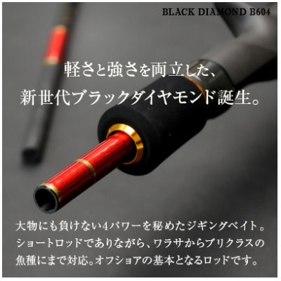 ウォーターランド ジギングロッド ブラックダイヤモンド ベイトロッド B604 村田基監修