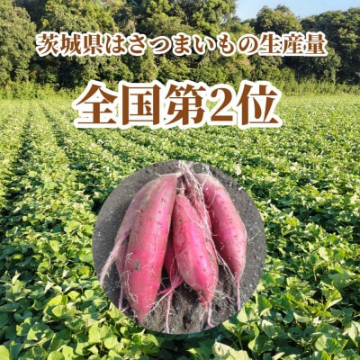 さつまいも　すずほっくり　約10kg　無選別(L～Sサイズ)