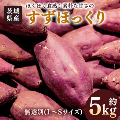 さつまいも　すずほっくり　約5kg　無選別(L～Sサイズ)