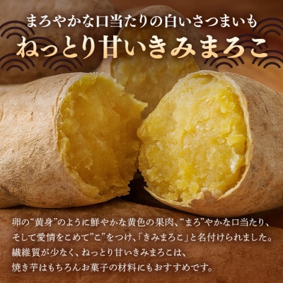 さつまいも きみまろこ 約5kg 無選別(L~Sサイズ)