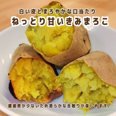 さつまいも きみまろこ 約5kg 無選別(L~Sサイズ)