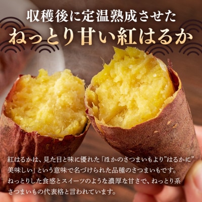 さつまいも　熟成紅はるか　約5kg(5kg以内)　無選別(L～Sサイズ)