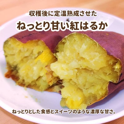 さつまいも　熟成紅はるか　約5kg(5kg以内)　無選別(L～Sサイズ)