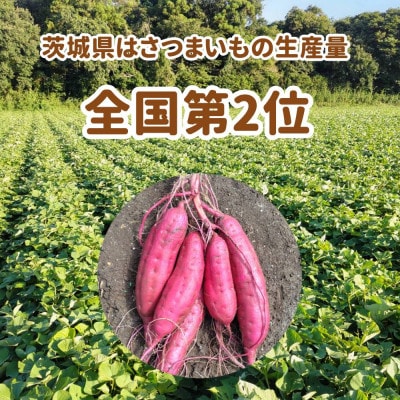 さつまいも　熟成紅はるか　約5kg(5kg以内)　無選別(L～Sサイズ)