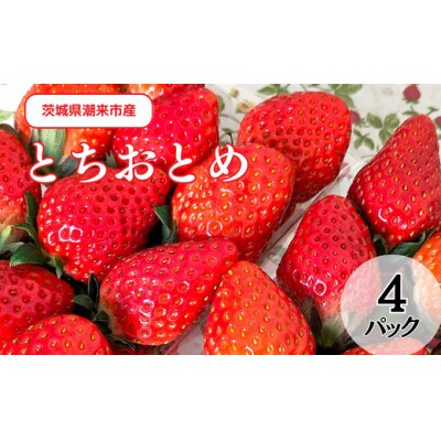 茨城県産いちご「とちおとめ」 4パック(1パック270g以上)