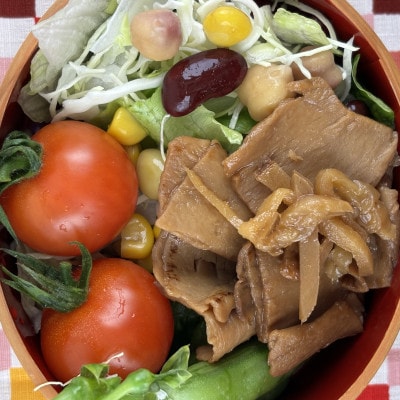 国産有機大豆ミート生姜焼きセット 100g×4p