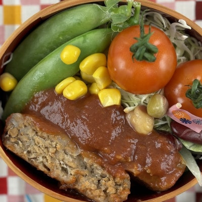 国産有機大豆ミートハンバーグ・生姜焼き 100g×各2pセット