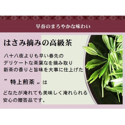 学生さん達と考えたギフトセット!絵柄が選べる100g缶!自分への大感謝祭セット (2)さくら缶
