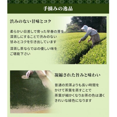 【発送月固定定期便】静岡茶 春夏秋冬 深蒸し茶セット(1月・5月・7月・10月発送)全4回