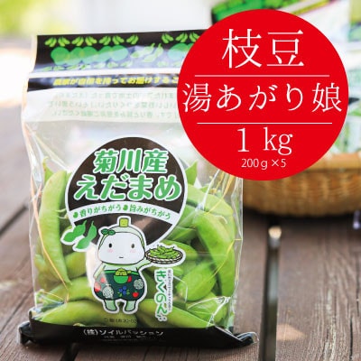 静岡県産の枝豆 「湯あがり娘」 約1kg　約200g×5袋　6月中旬～8月上旬発送