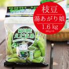 2026年発送　発送静岡県産の枝豆 「湯あがり娘」 約1.6kg　6月中旬～8月上旬発送