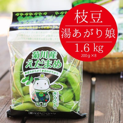 静岡県産の枝豆 「湯あがり娘」 約1.6kg　約200g×8袋　6月中旬～8月上旬発送