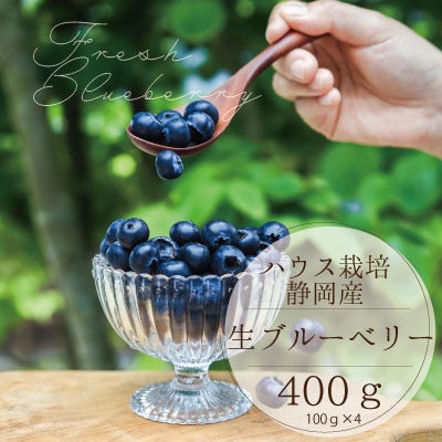 菊川市産の大粒生ブルーベリー 100g×4パック　4月中旬～6月上旬発送