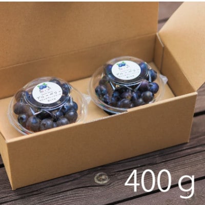 菊川市産の大粒生ブルーベリー 100g×4パック　4月中旬～6月上旬発送