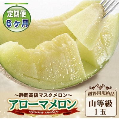 【毎月定期便】アローマメロン(山等級) 1玉入【品格溢れる贈答規格品】全6回