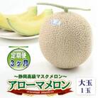 【毎月定期便】アローマメロン 白等級(大玉) 1玉入　全3回