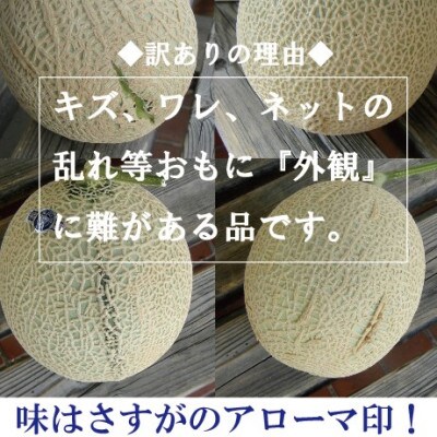 【毎月定期便】<訳あり>アローマメロン 1玉入　全12回
