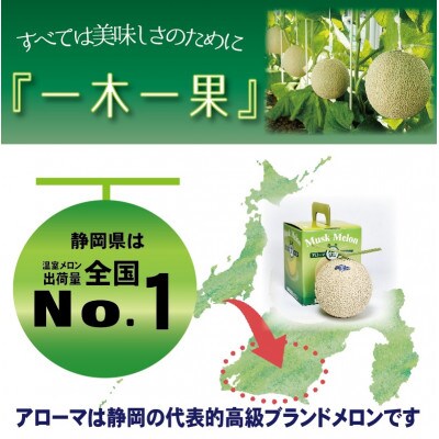【毎月定期便】<訳あり>アローマメロン 1玉入　全12回