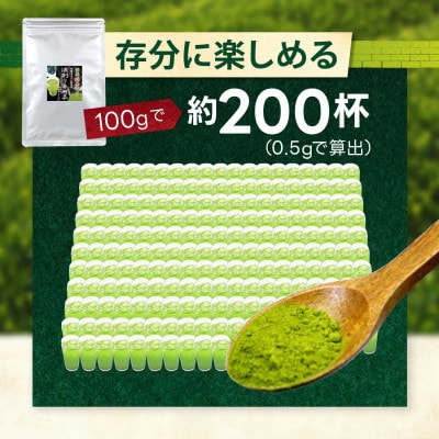 粉末茶「静岡緑茶割り 酒割り専用茶 100g×1袋」静岡県菊川市 かやまえん