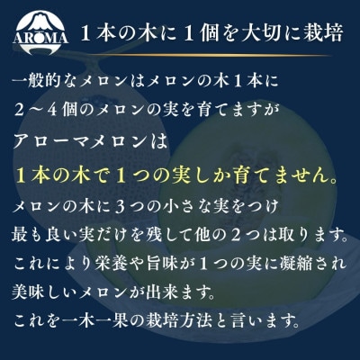 【毎月定期便】【組合直送】【高級マスクメロン】アローマメロン1玉(約1.3kg)　静岡県菊川市全6回