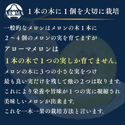 【毎月定期便】【組合直送】【高級マスクメロン】アローマメロン1玉(約1.3kg)静岡県菊川市　全6回