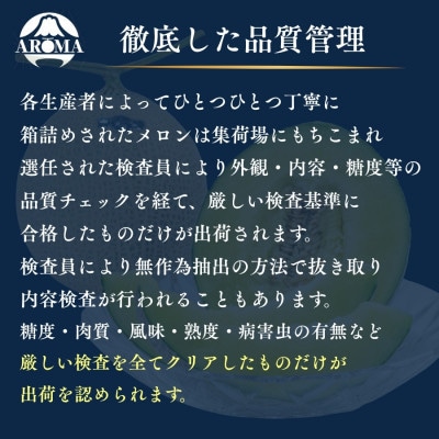 【毎月定期便】【組合直送】【高級マスクメロン】アローマメロン1玉(約1.3kg)静岡県菊川市　全6回