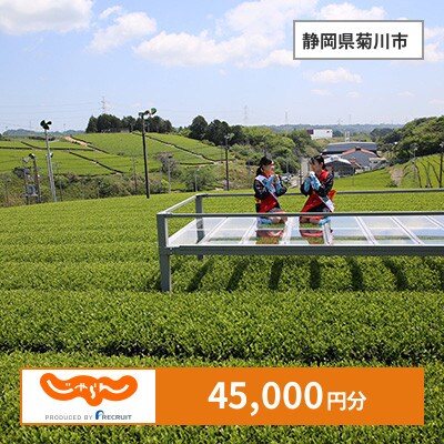 【じゃらんふるさと納税クーポン】 静岡県菊川市でつかえる45,000円 クーポン