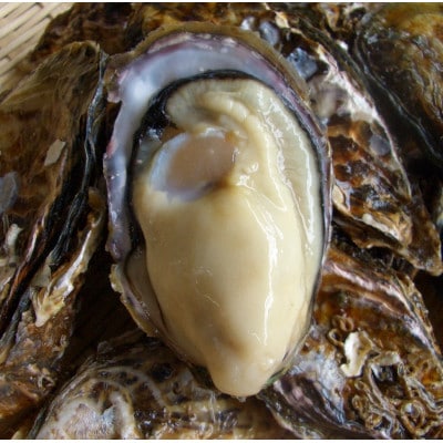 兵庫県赤穂市産　むき身牡蠣　1kg(500g×2P)