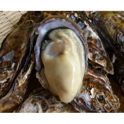 兵庫県赤穂市産　むき身牡蠣　300g×2P