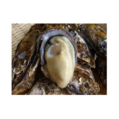 坂越かき 殻付き計6個 むき身計600gセット