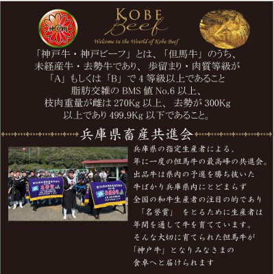 神戸牛 すき焼・しゃぶしゃぶ用 600g AKS3