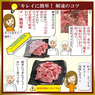 神戸牛(神戸ビーフ)焼き肉用セット 計1Kg AKYS5 【2026年4月より順次発送】