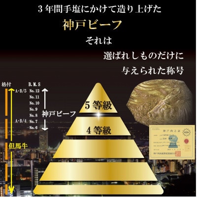 神戸牛(神戸ビーフ)ロースステーキ 計1Kg AKST10 【2026年4月より順次発送】