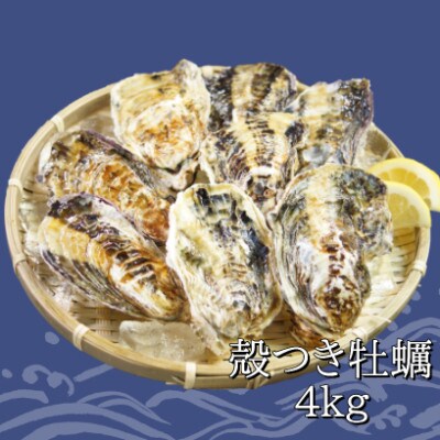 坂越かき　殻付き42～48個