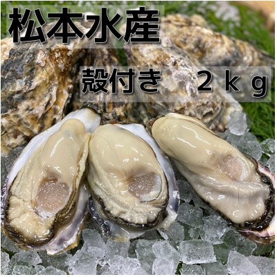 坂越かき　殻付き20～25個