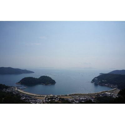 坂越かき　殻付き20～25個